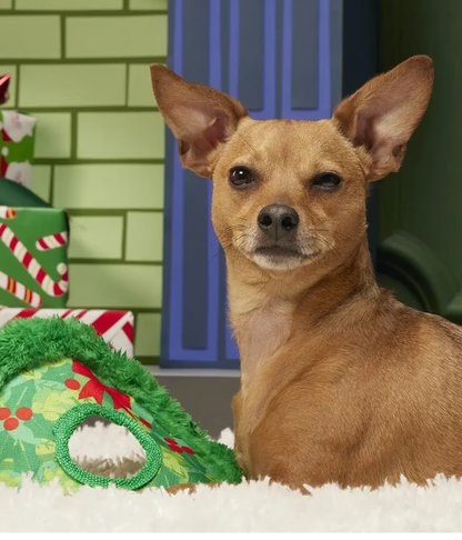 Bark - Dog Toy Wreath Toss